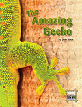 The Amazing Gecko