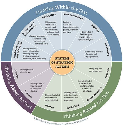 System of Strategic Actions