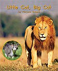 Link to book Little Cat, Big Cat