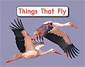 Link to book Things That Fly