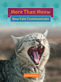 Link to book More Than Meow