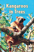Kangaroos in Trees