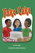 Fake Cake