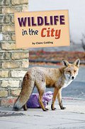 Wildlife in the City