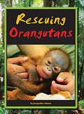 Rescuing Orangutans