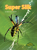 Super Silk