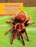 Tarantulas