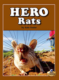 Hero Rats