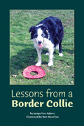link to book