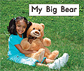 link to book My Big Bear