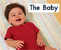 link to book The Baby