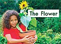 link to book The Flower