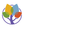 fountas and pinnell elevating teacher expertise